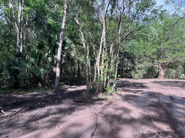 630 Quarter Horse Lane Bunnell FL 32110 OK223088 image1