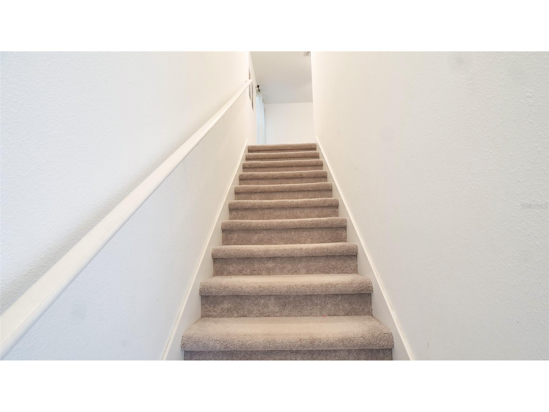 6300 Beverly Hills Drive Zephyrhills FL 33541 TB8486629 image15