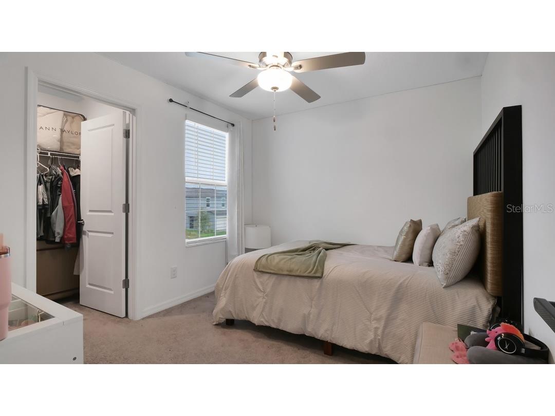 6300 Beverly Hills Drive Zephyrhills FL 33541 TB8486629 image21