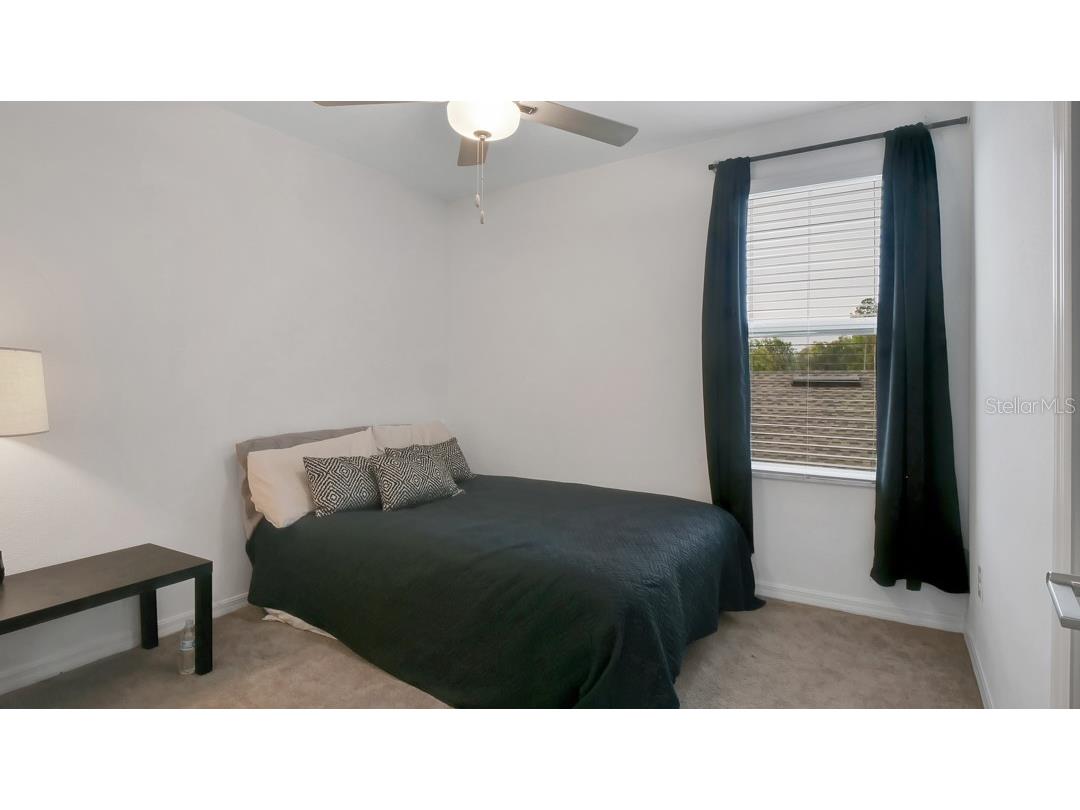 6300 Beverly Hills Drive Zephyrhills FL 33541 TB8486629 image25
