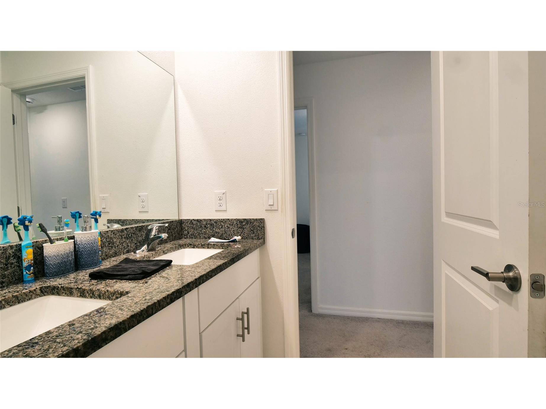 6300 Beverly Hills Drive Zephyrhills FL 33541 TB8486629 image26