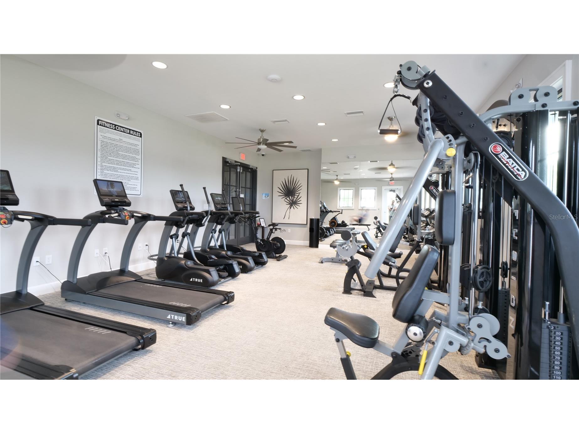 6300 Beverly Hills Drive Zephyrhills FL 33541 TB8486629 image40