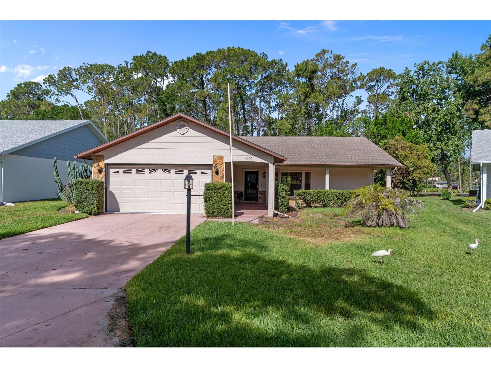 6300 Darien Way Spring Hill FL 34606 W7886814 image3