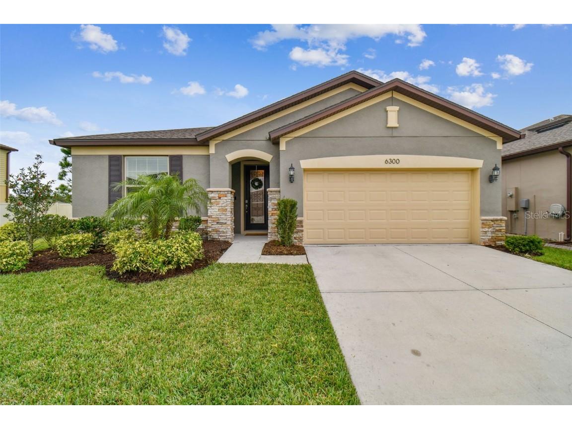 6300 Dutton Drive Wesley Chapel FL 33545 U8225925 image1