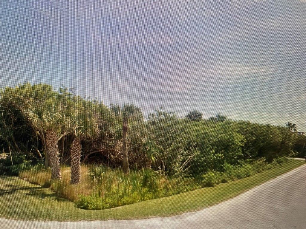 6300 Engram Road New Smyrna Beach FL 32169 O6095597 image1