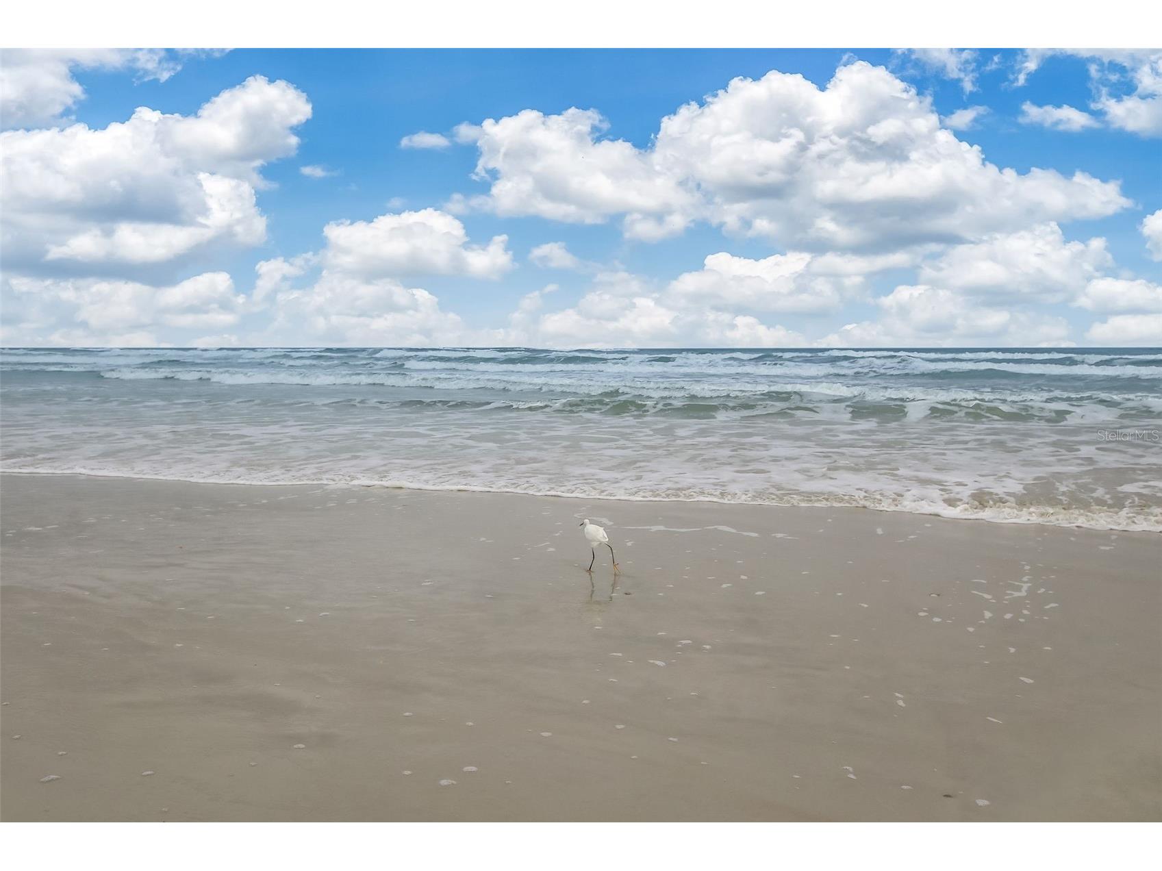 6300 S A1a #A5 1U Saint Augustine FL 32080 - ATLANTIC OCEAN FC318637 image48