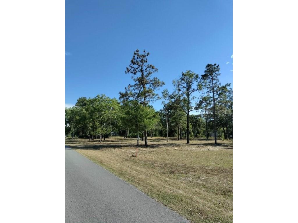 6300 S Gross Avenue Homosassa FL 34446 T3309921 image1