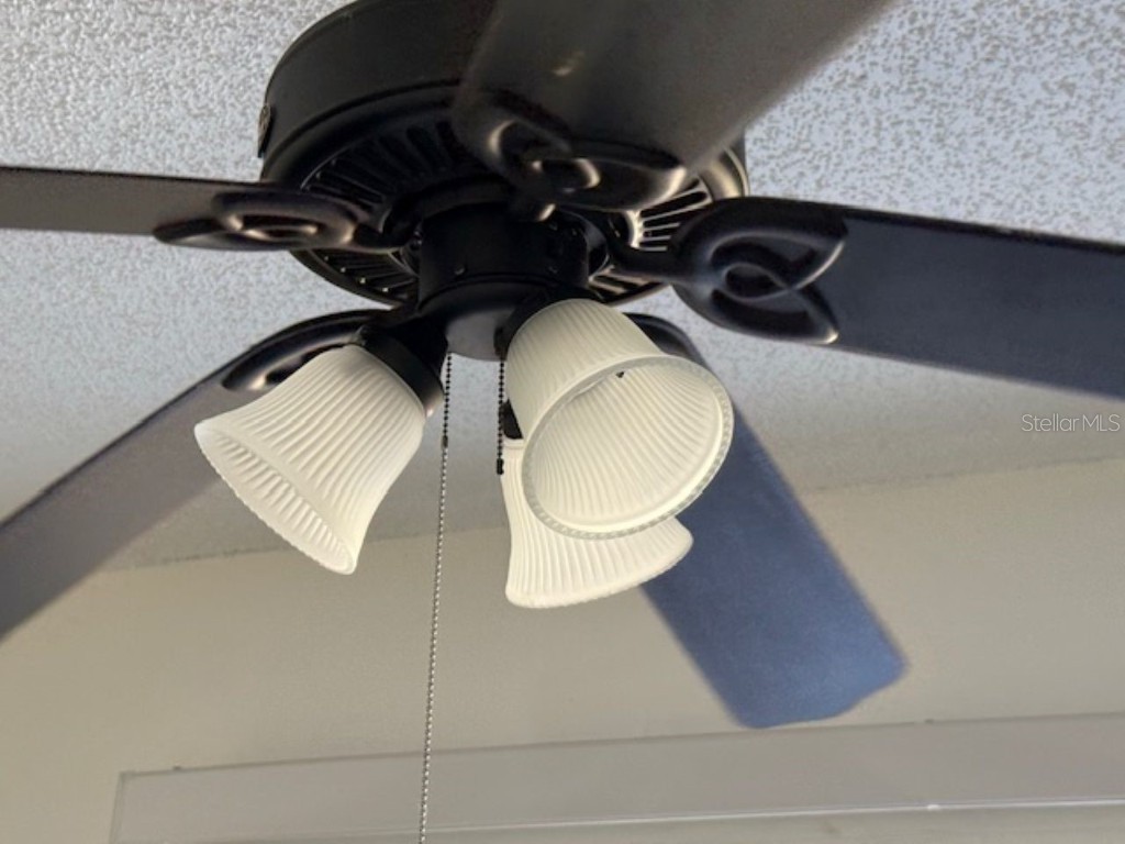 6301 58th Street #1103 Pinellas Park FL 33781 TB8450900 image12