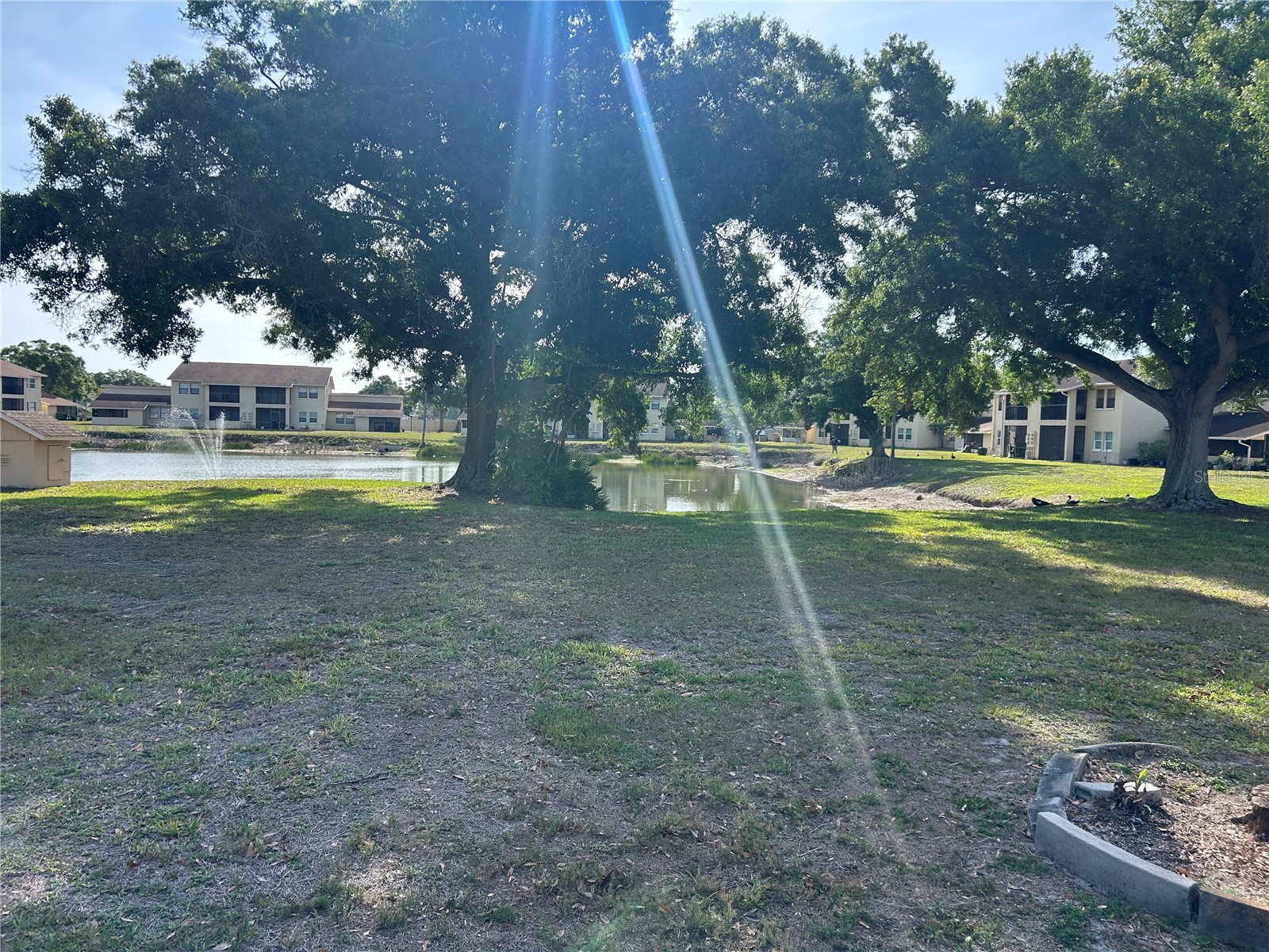 6301 58th Street N #1001 Pinellas Park FL 33781 TB8508535 image10