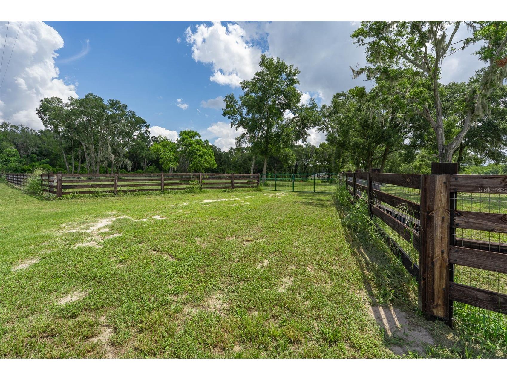 6301 Dora Drive Mount Dora FL 32757 - LAKE BEAUCLAIRE O6333094 image10