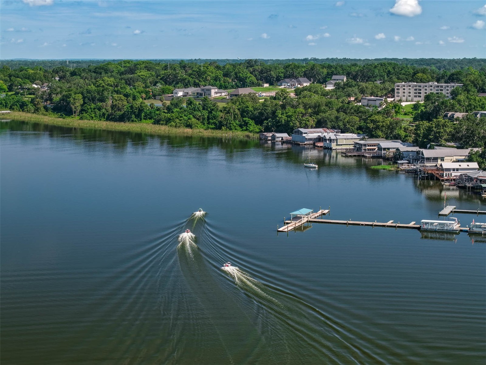 6301 Dora Drive Mount Dora FL 32757 - LAKE BEAUCLAIRE O6333094 image26