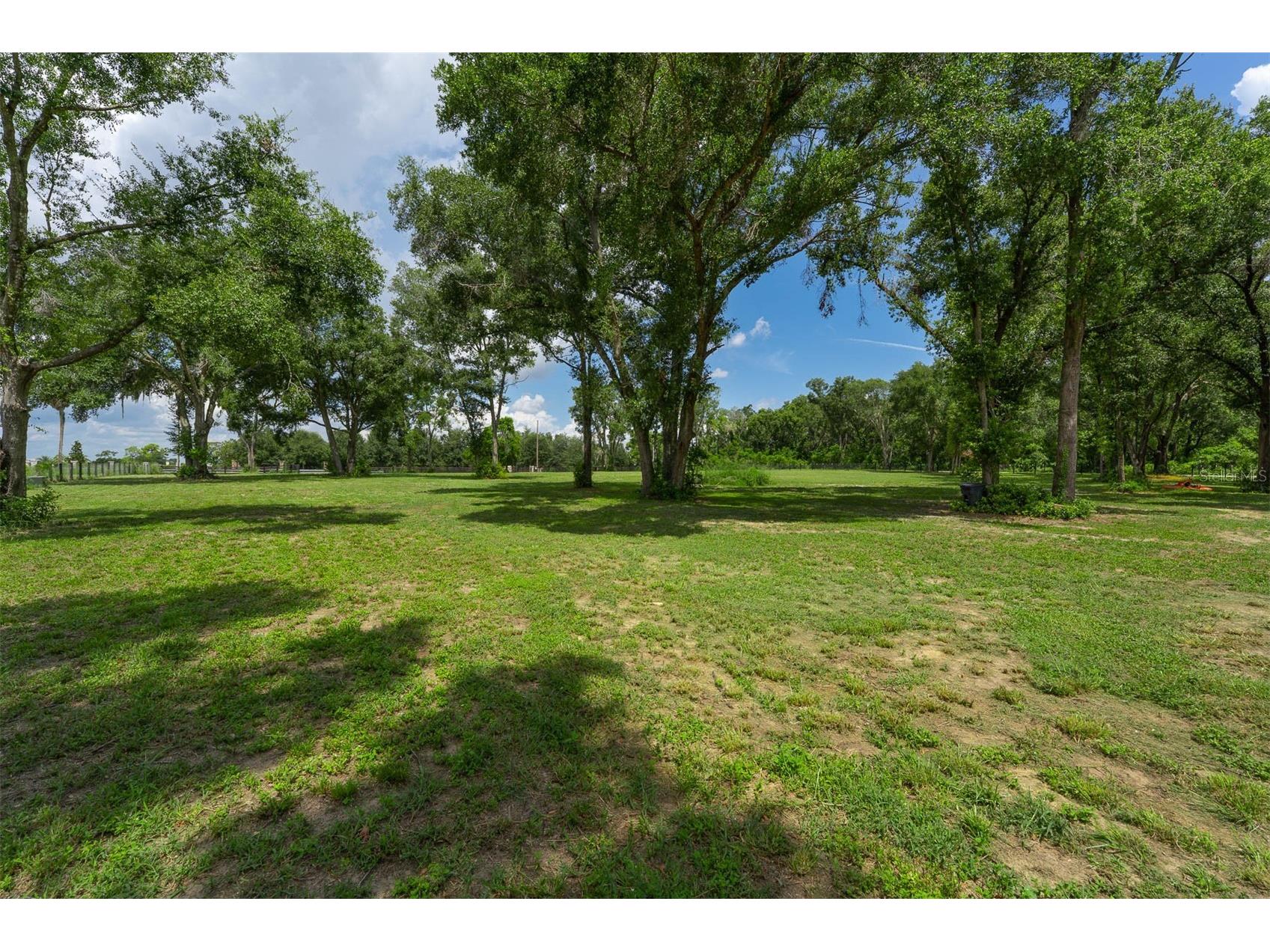 6301 Dora Drive Mount Dora FL 32757 - LAKE BEAUCLAIRE O6333094 image5