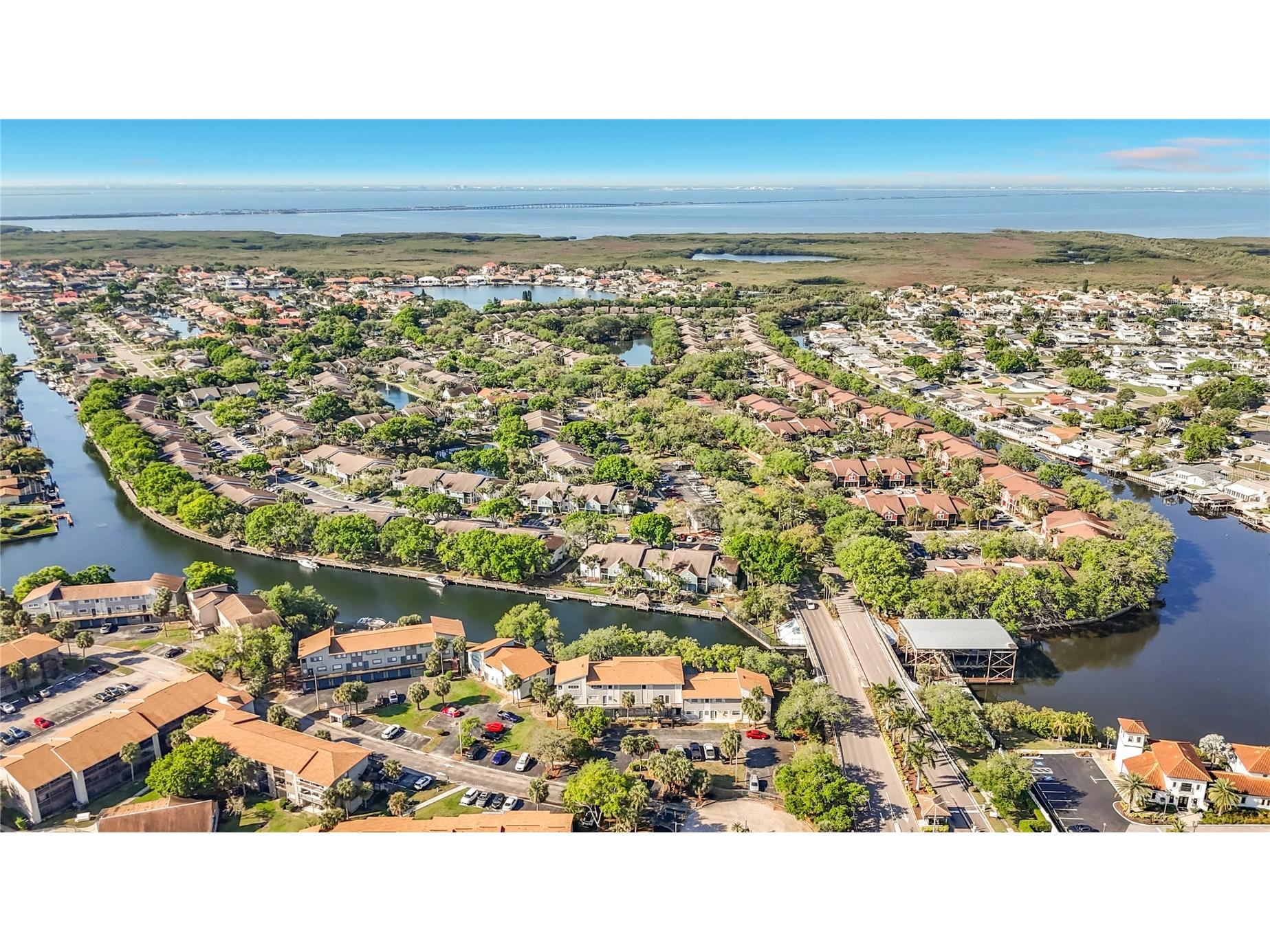 6301 Newtown Circle #1A2 Tampa FL 33615 TB8490695 image35