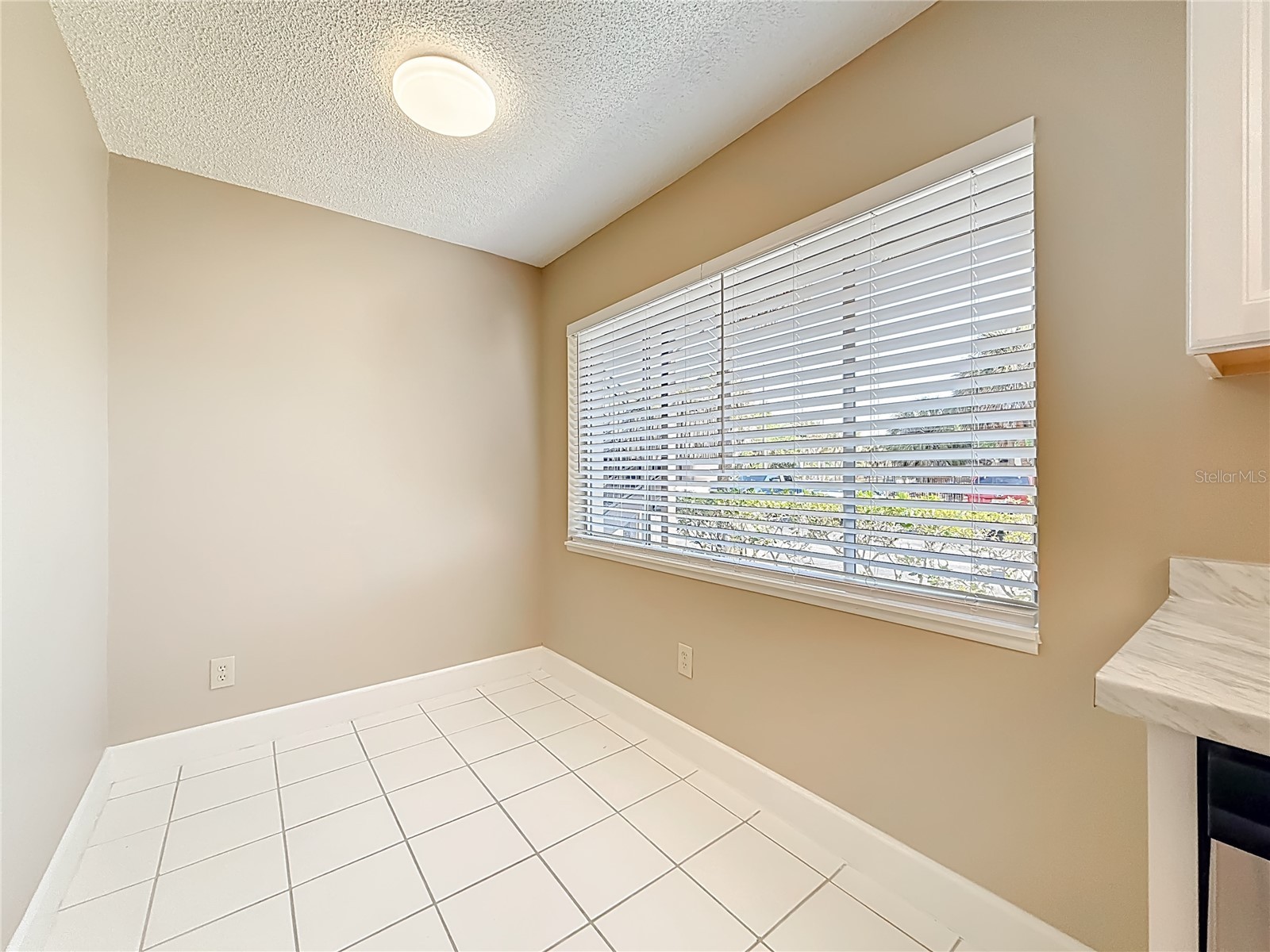 6301 Newtown Circle #1A2 Tampa FL 33615 TB8490695 image9
