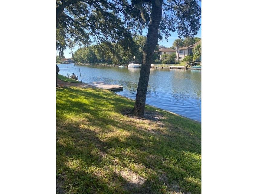 6301 Newtown Circle #1A3 Tampa FL 33615 TB8500134 image16