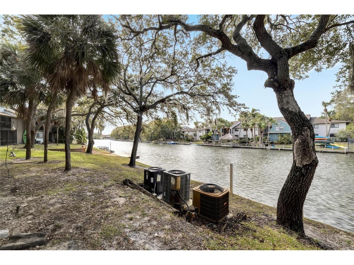 6301 Newtown Circle #1A4 Tampa FL 33615 TB8443265 image25