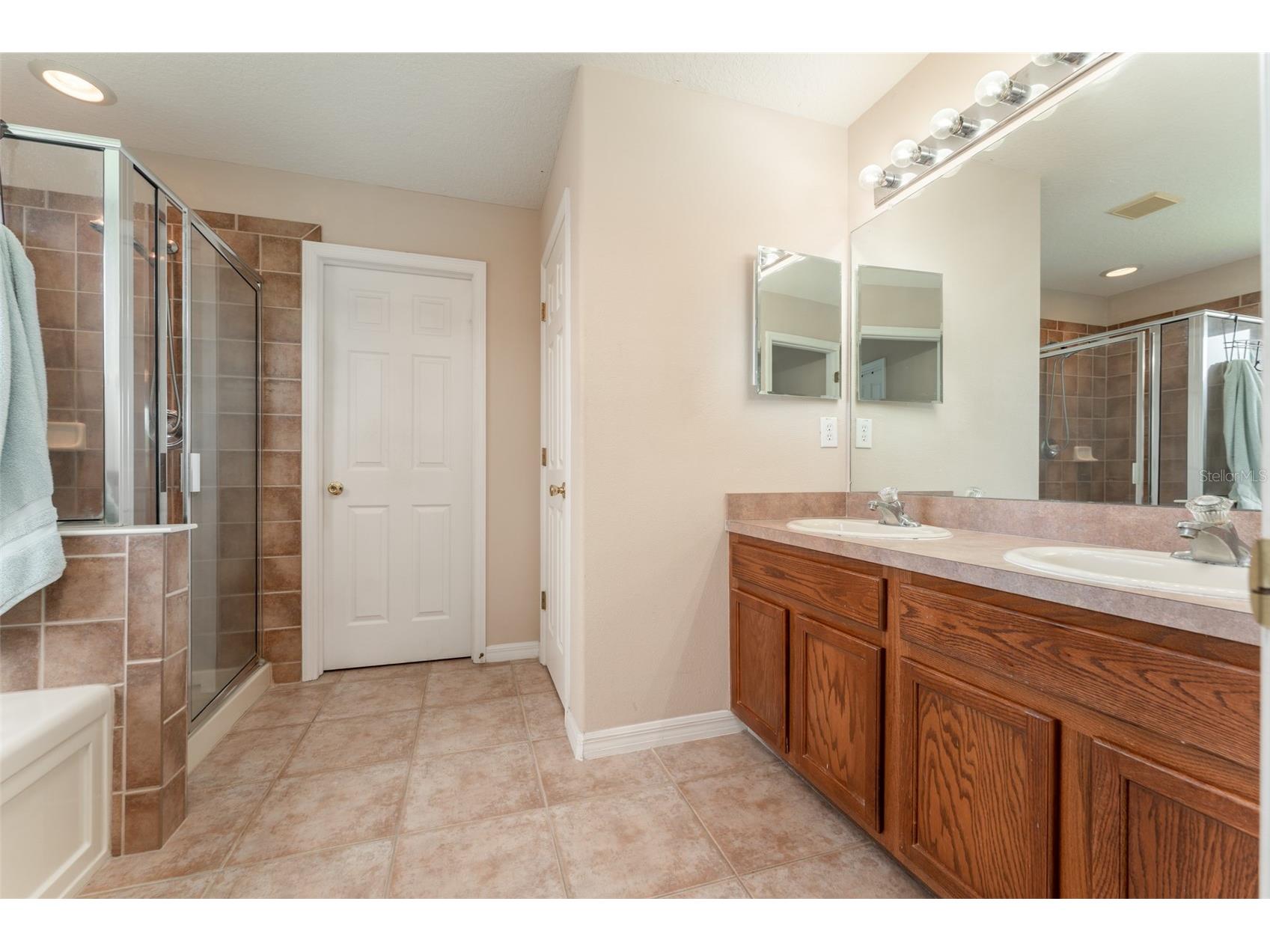 6302 Bridgevista Drive Lithia FL 33547 TB8505699 image20