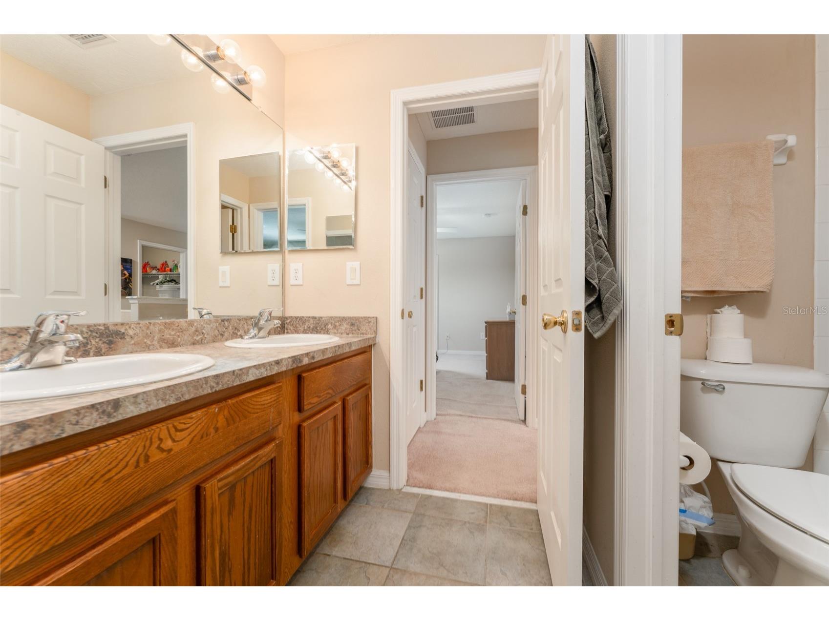 6302 Bridgevista Drive Lithia FL 33547 TB8505699 image24
