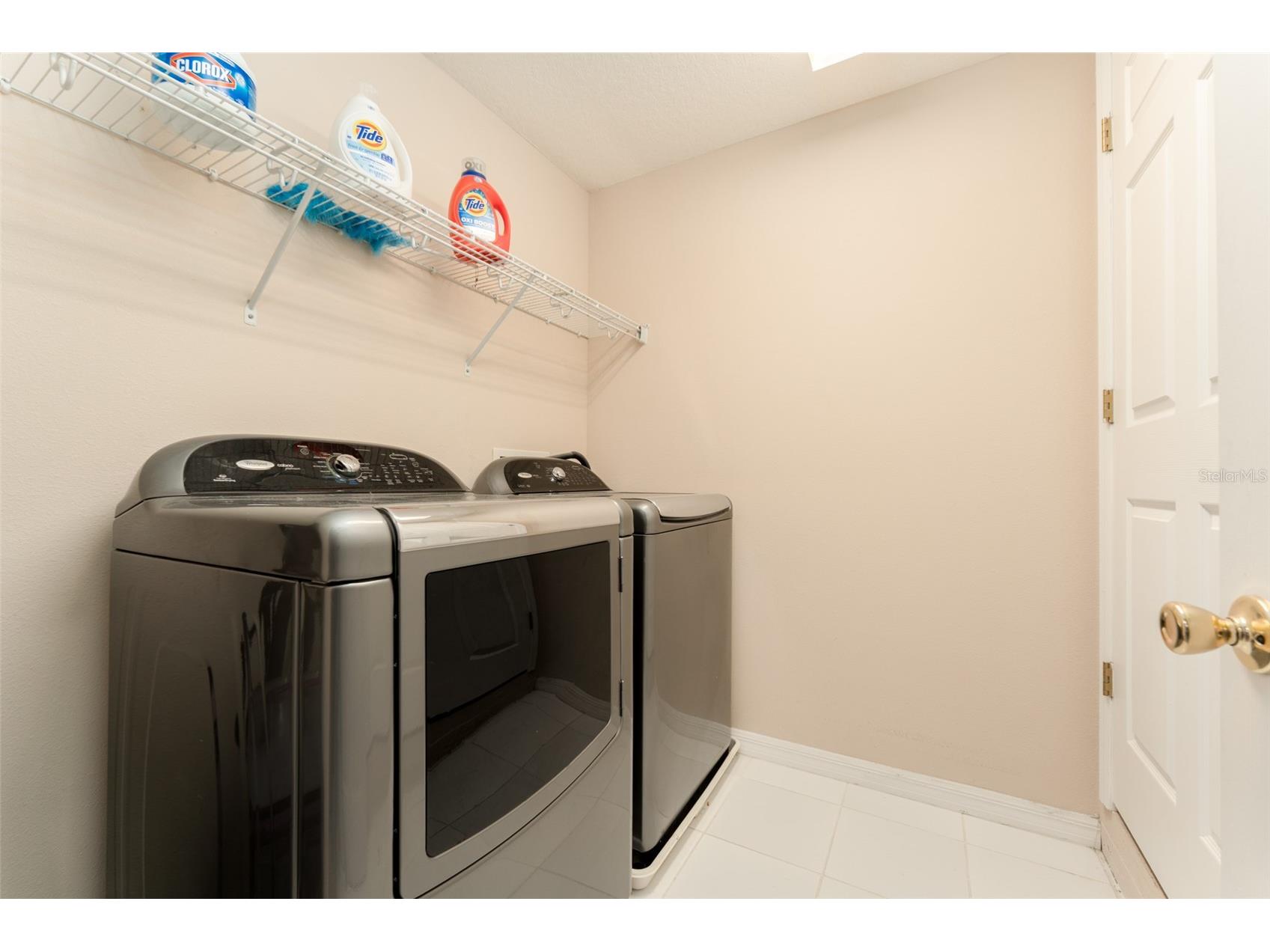 6302 Bridgevista Drive Lithia FL 33547 TB8505699 image29