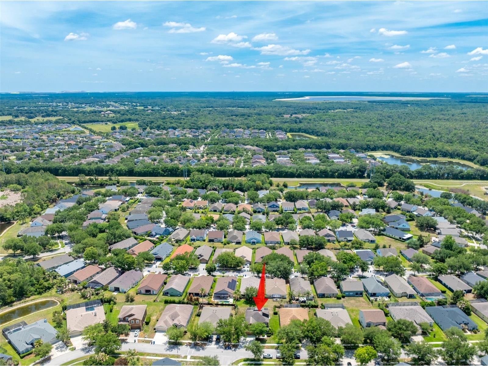 6302 Bridgevista Drive Lithia FL 33547 TB8505699 image43
