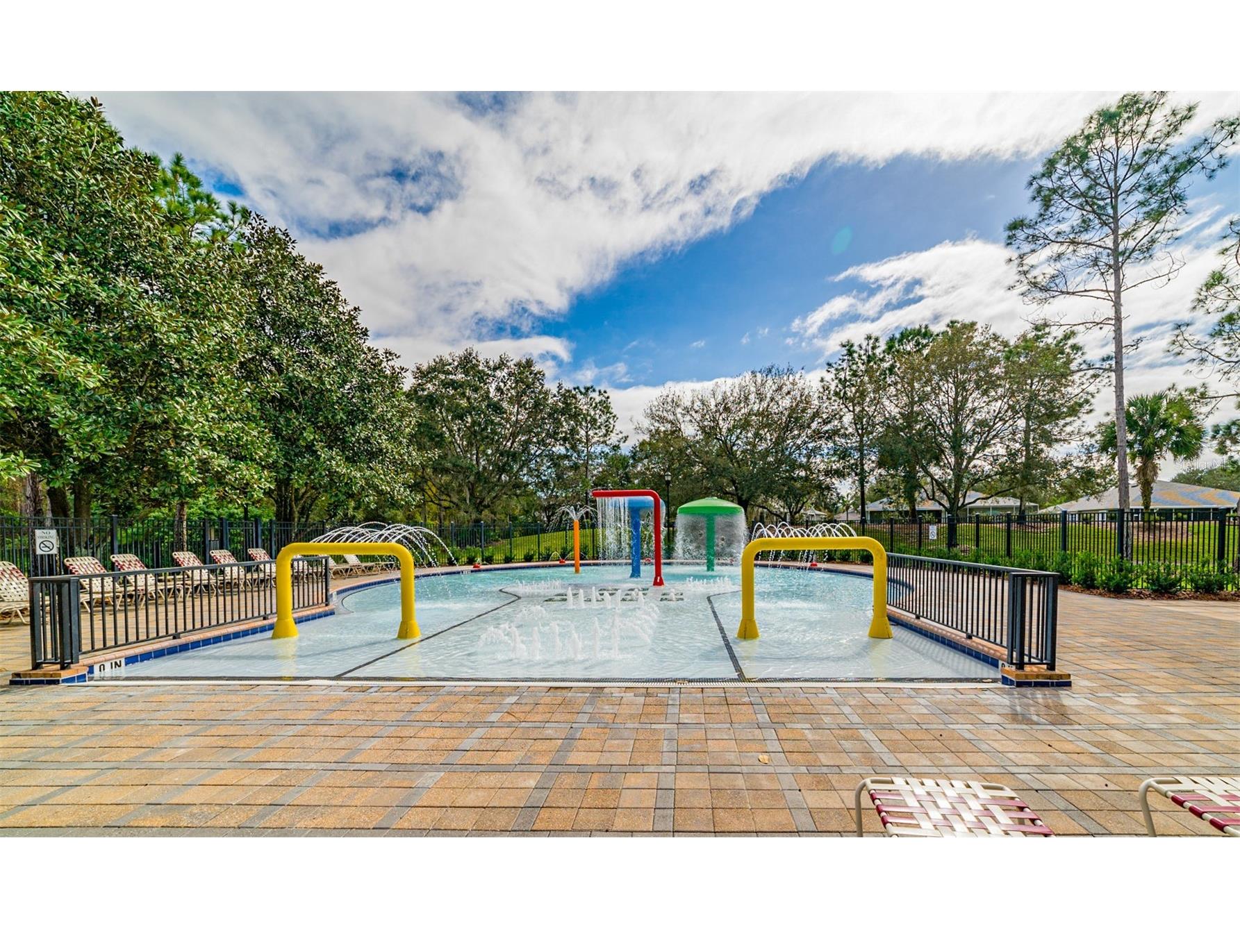 6302 Bridgevista Drive Lithia FL 33547 TB8505699 image49