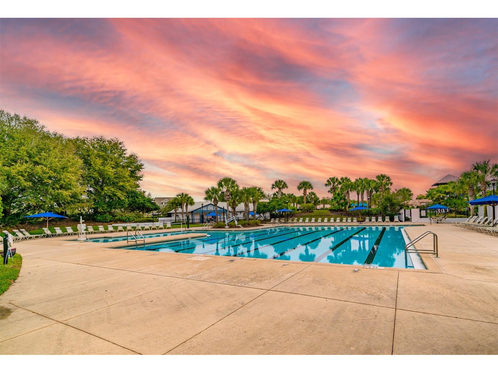 6302 Bridgevista Drive Lithia FL 33547 TB8505699 image55