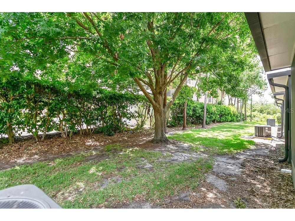 6302 Daysbrook Drive #104 Orlando FL 32835 O6410052 image24