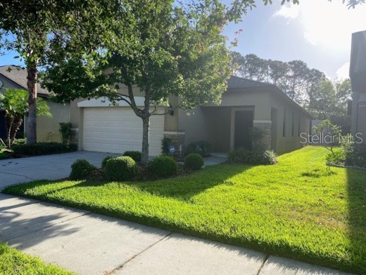 6302 Magnolia Park Boulevard Riverview FL 33578 T3439277 image1