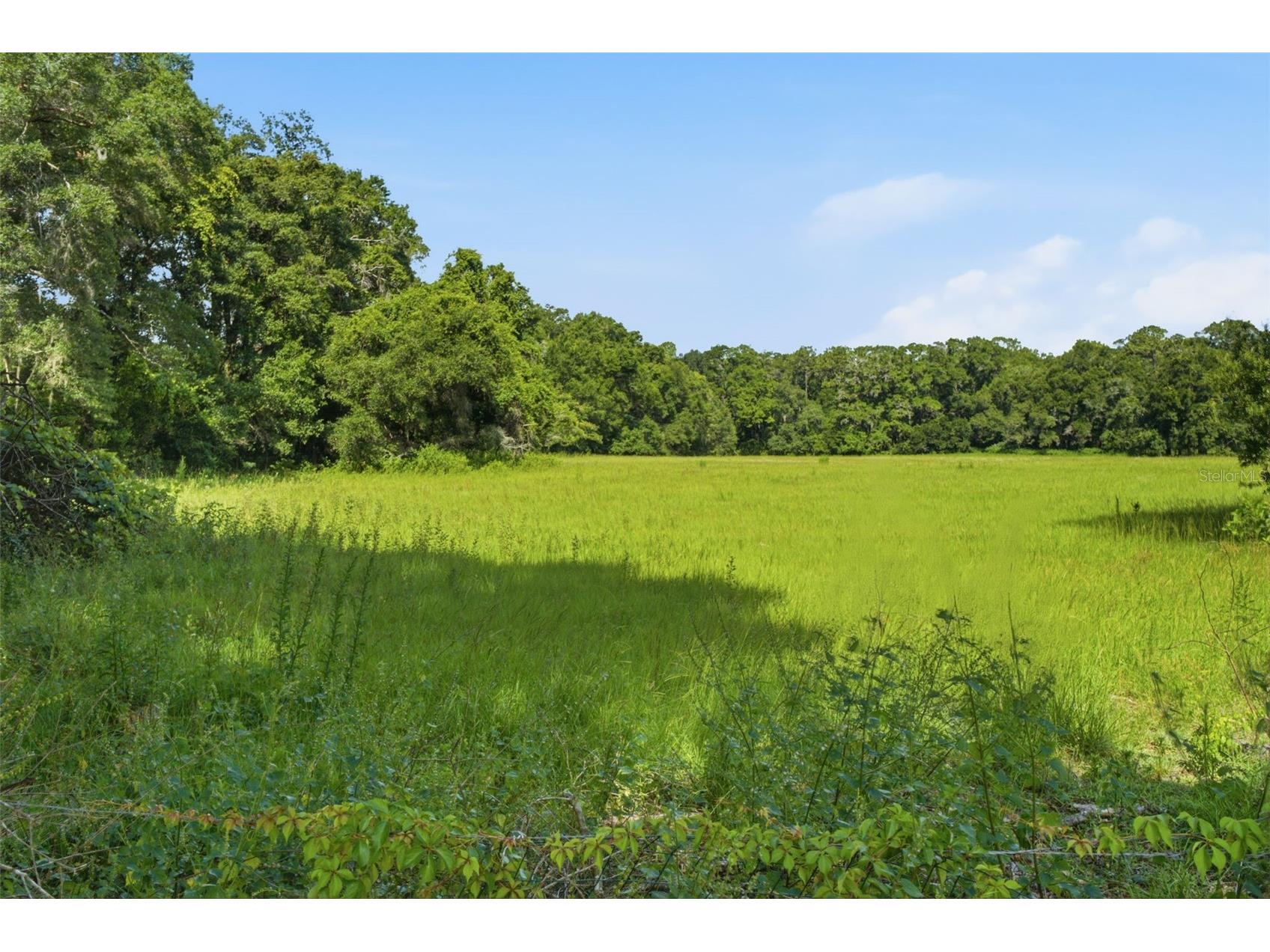 6302 NW 67th Terrace Ocala FL 34482 TB8520276 image50