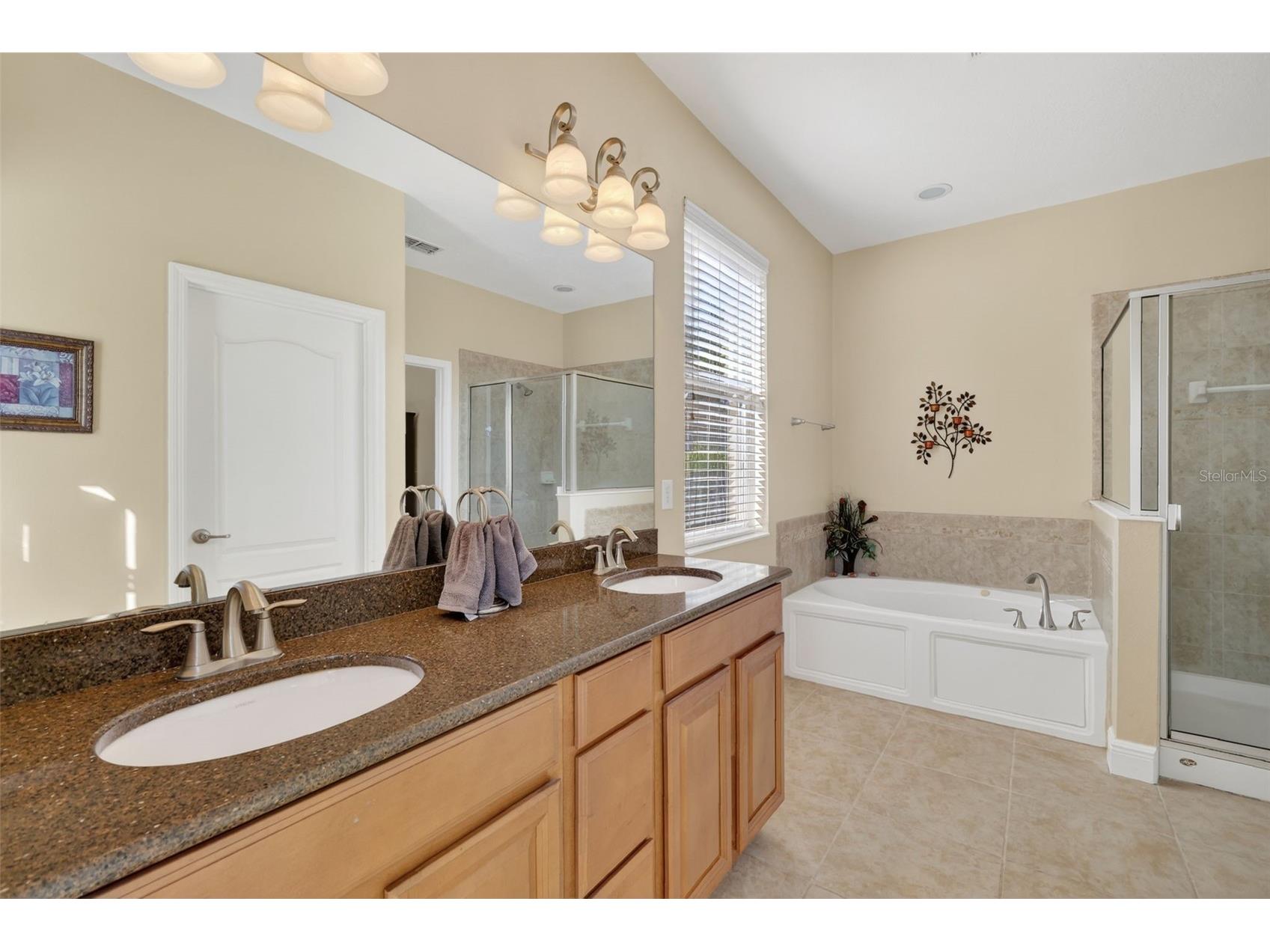 6304 Rolden Court Mount Dora FL 32757 G5108304 image16