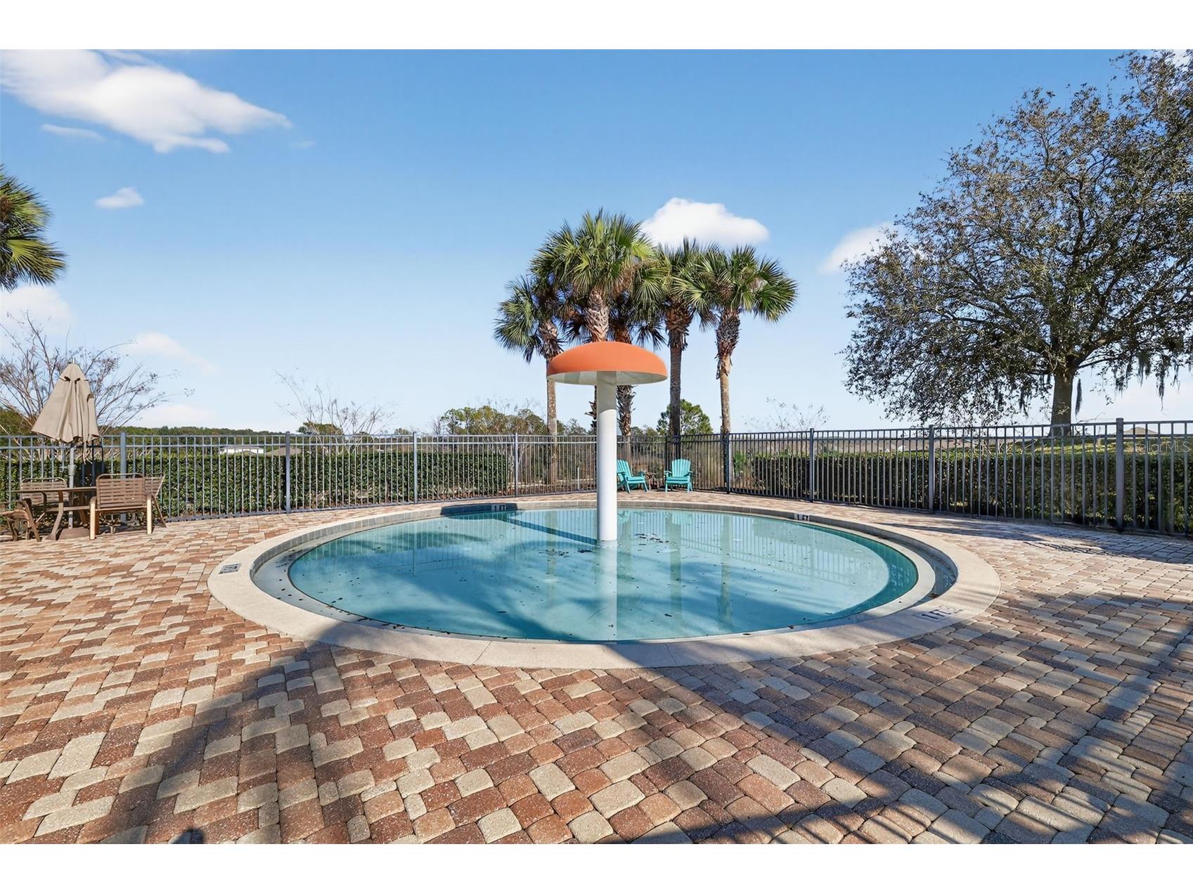 6304 Rolden Court Mount Dora FL 32757 G5108304 image28