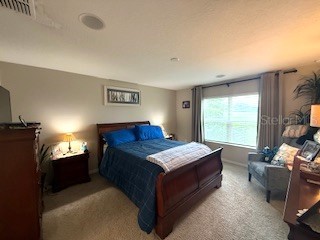 6305 Domenico Court Groveland FL 34736 O6344627 image12