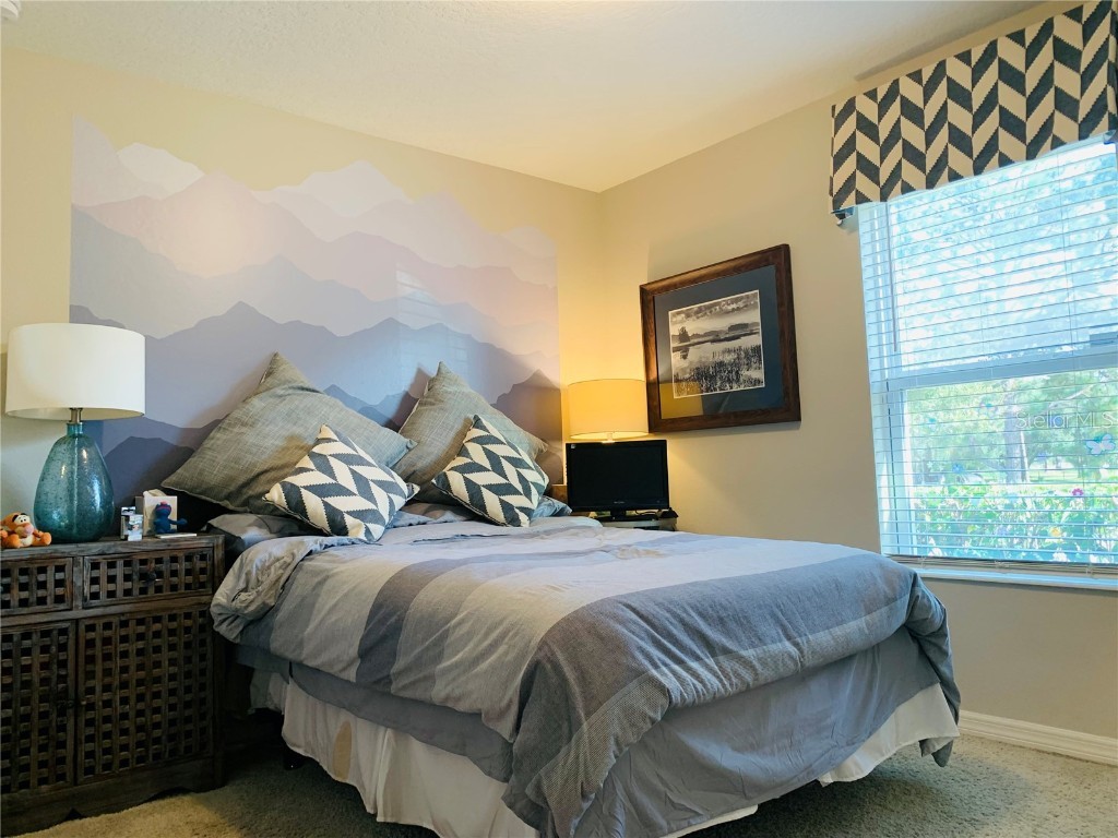 6305 Domenico Court Groveland FL 34736 O6344627 image16