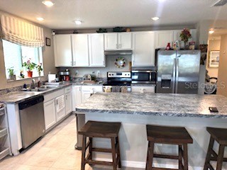 6305 Domenico Court Groveland FL 34736 O6344627 image8