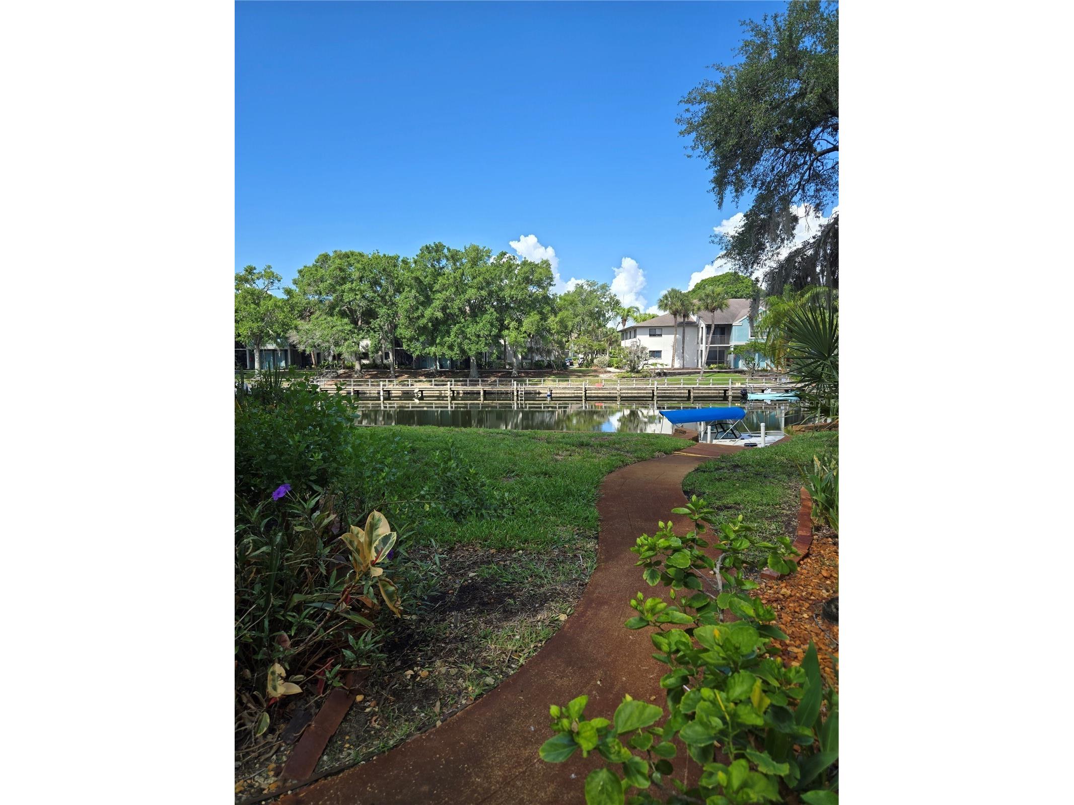 6305 Newtown Circle #5B4 Tampa FL 33615 TB8518859 image18
