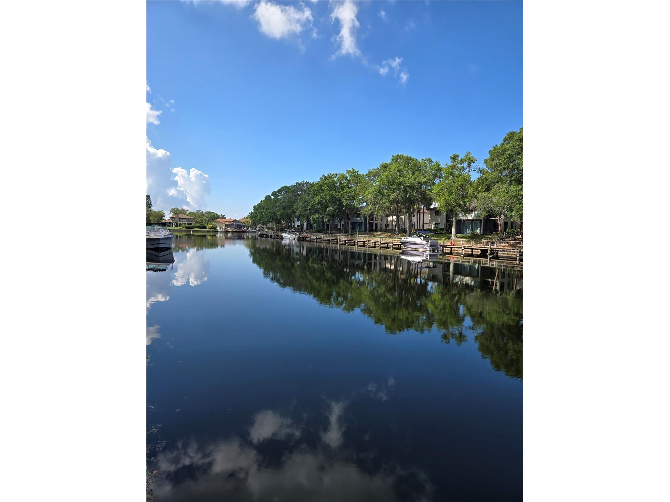 6305 Newtown Circle #5B4 Tampa FL 33615 TB8518859 image19
