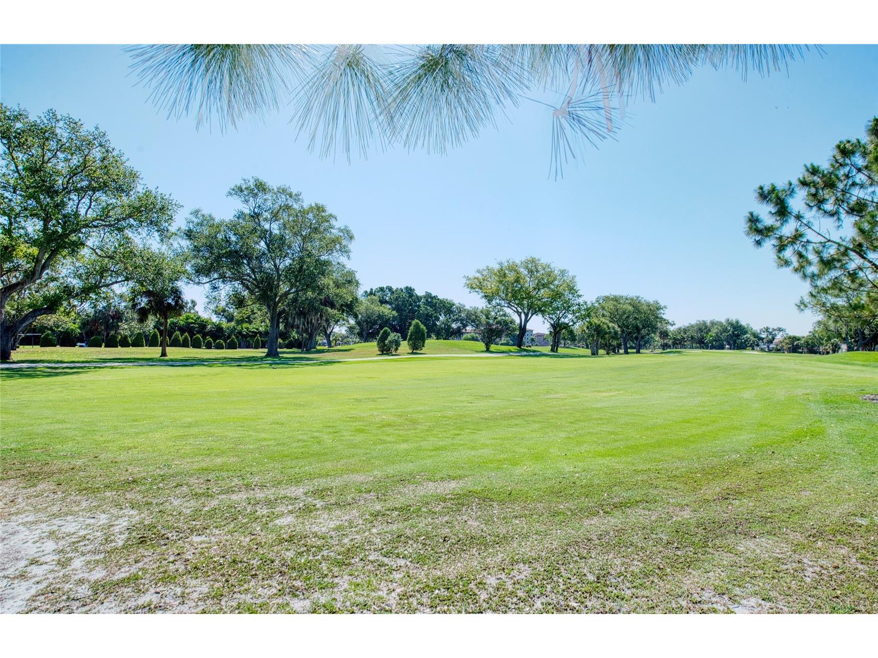 6305 Pelican Creek Crossing #D Saint Petersburg FL 33707 TB8503119 image20