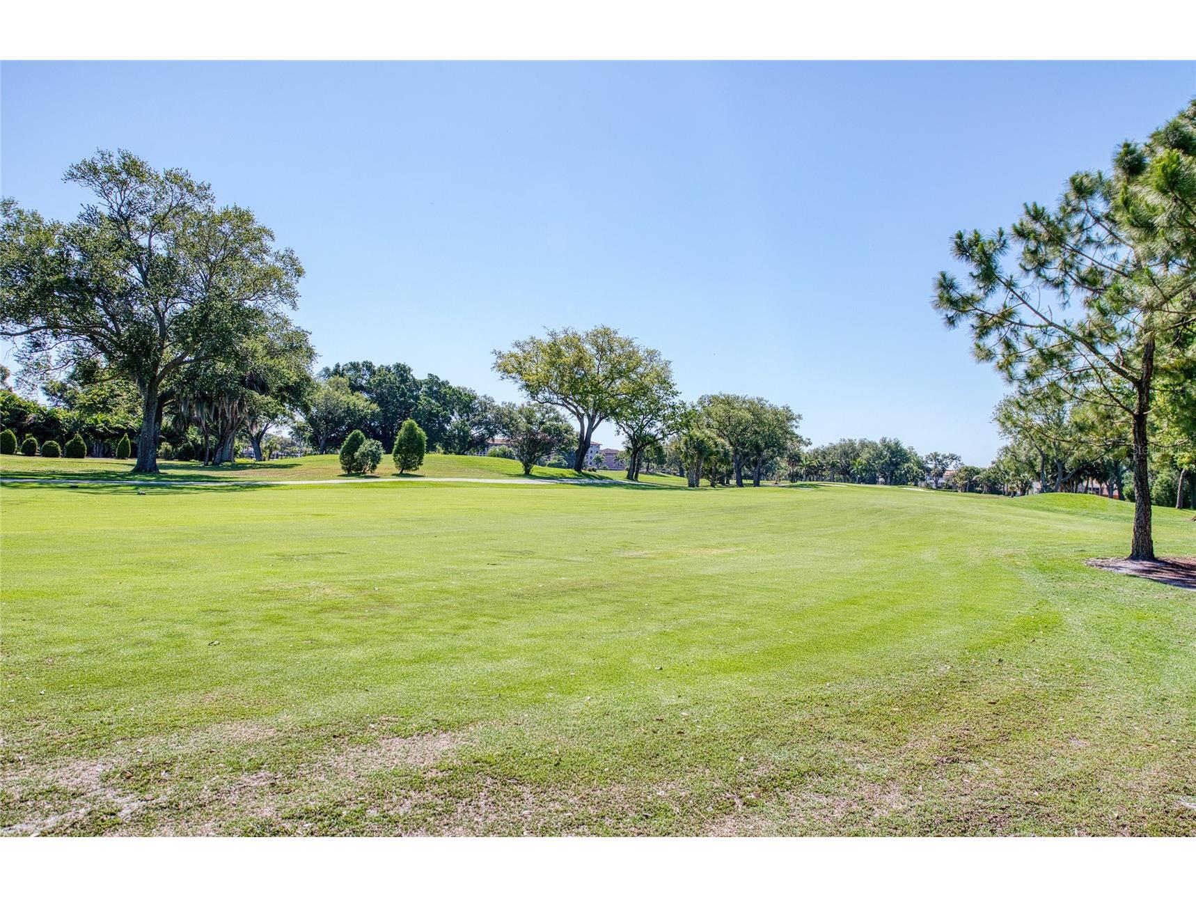 6305 Pelican Creek Crossing #D Saint Petersburg FL 33707 TB8503119 image21