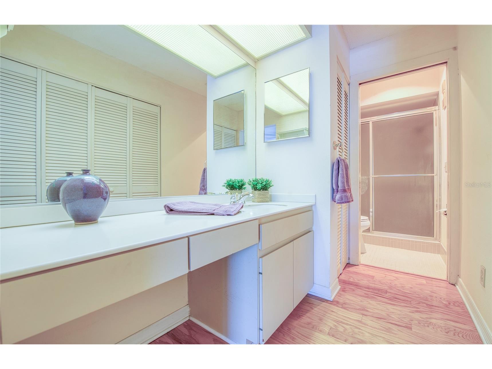 6305 Pelican Creek Crossing #D Saint Petersburg FL 33707 TB8503119 image37