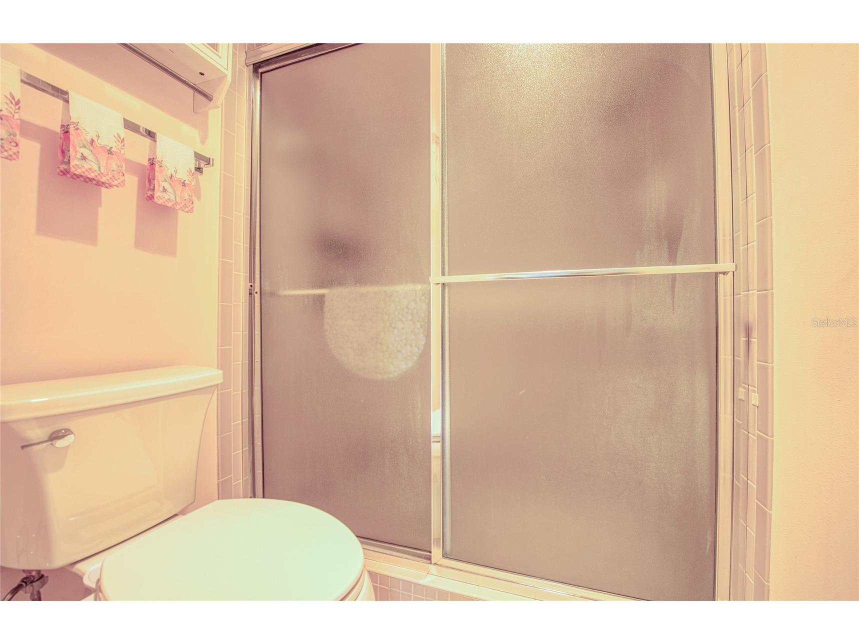 6305 Pelican Creek Crossing #D Saint Petersburg FL 33707 TB8503119 image38