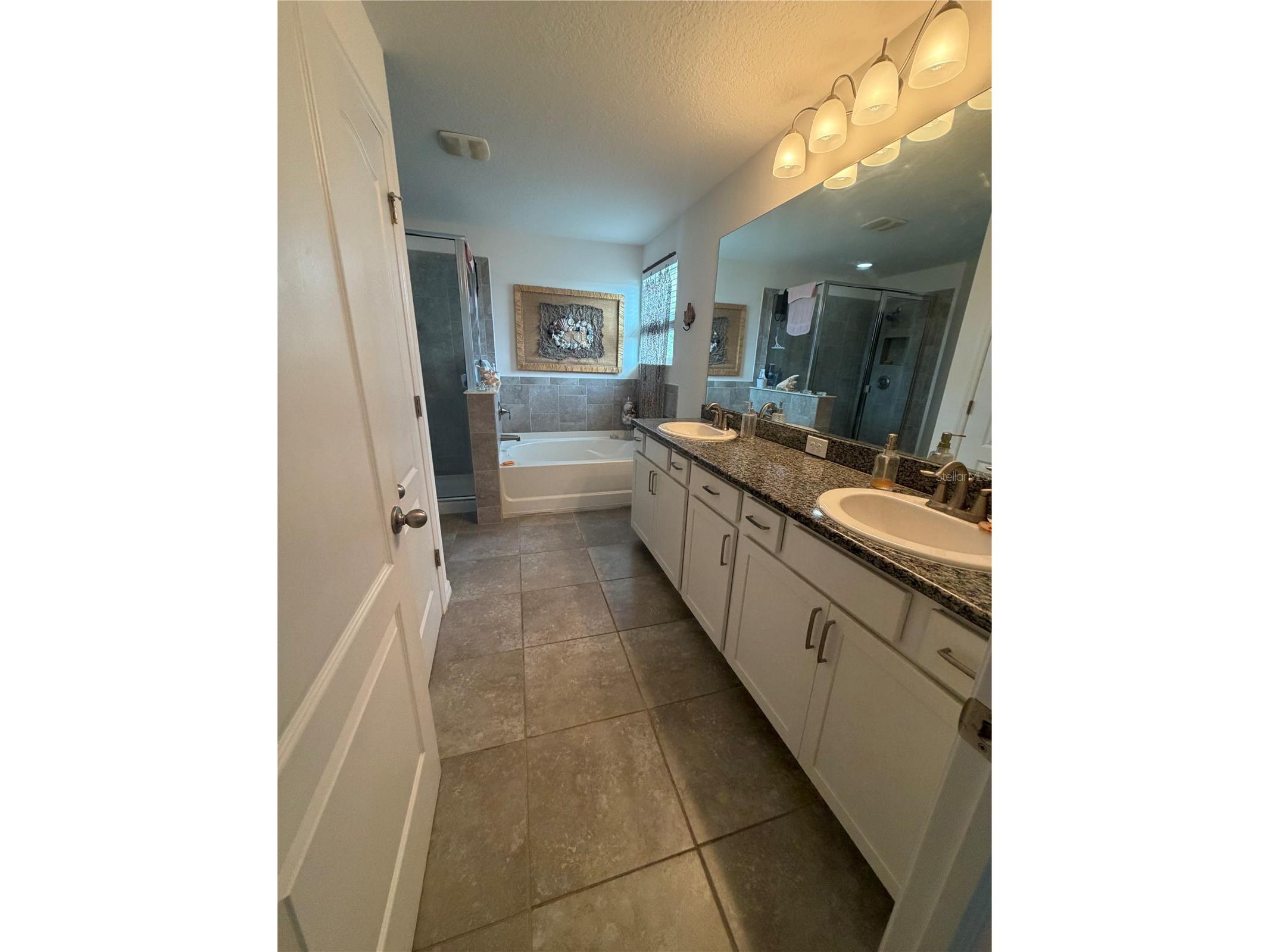 6305 Sunsail Place Apollo Beach FL 33572 TB8524245 image19