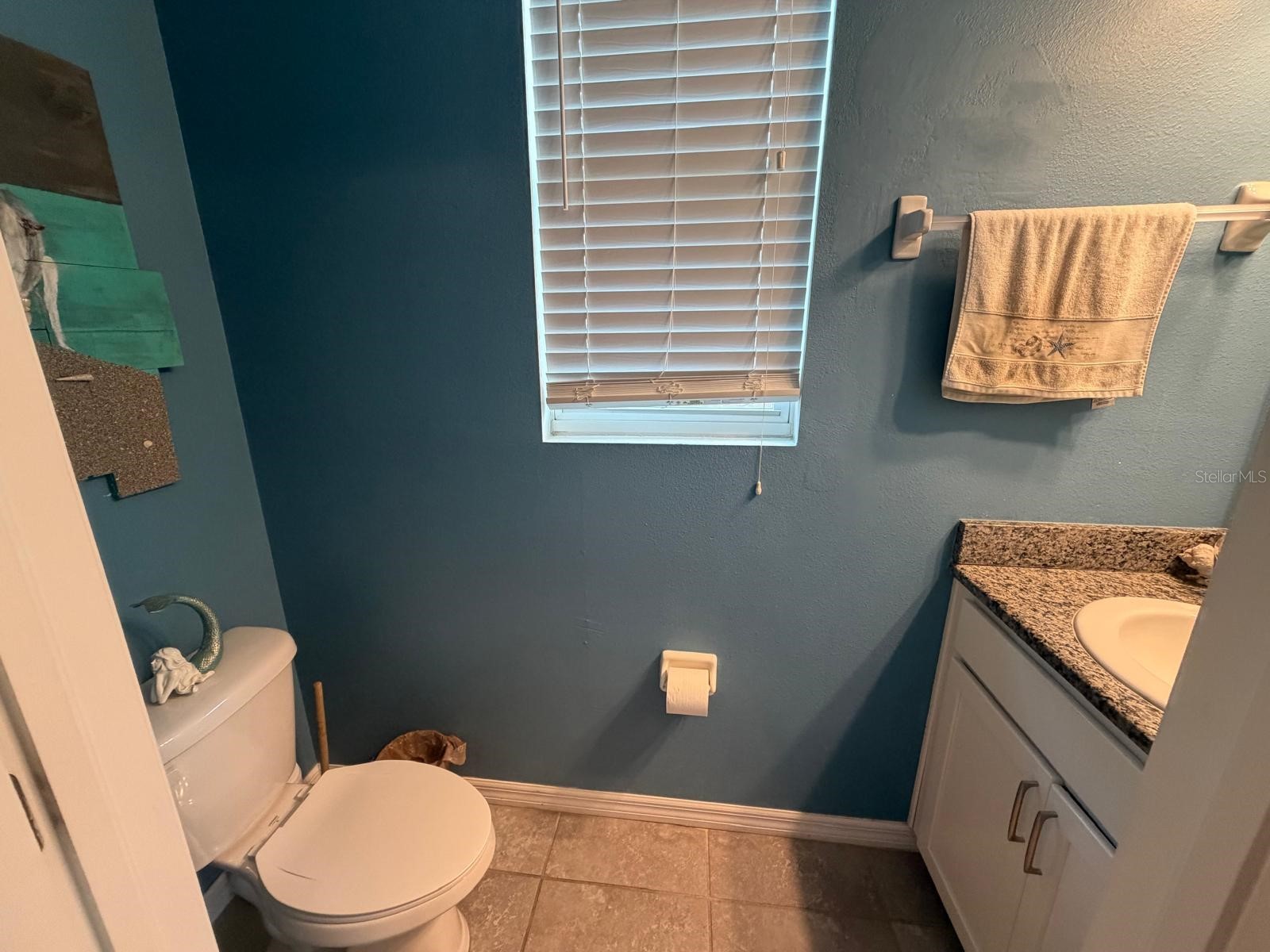 6305 Sunsail Place Apollo Beach FL 33572 TB8524245 image5