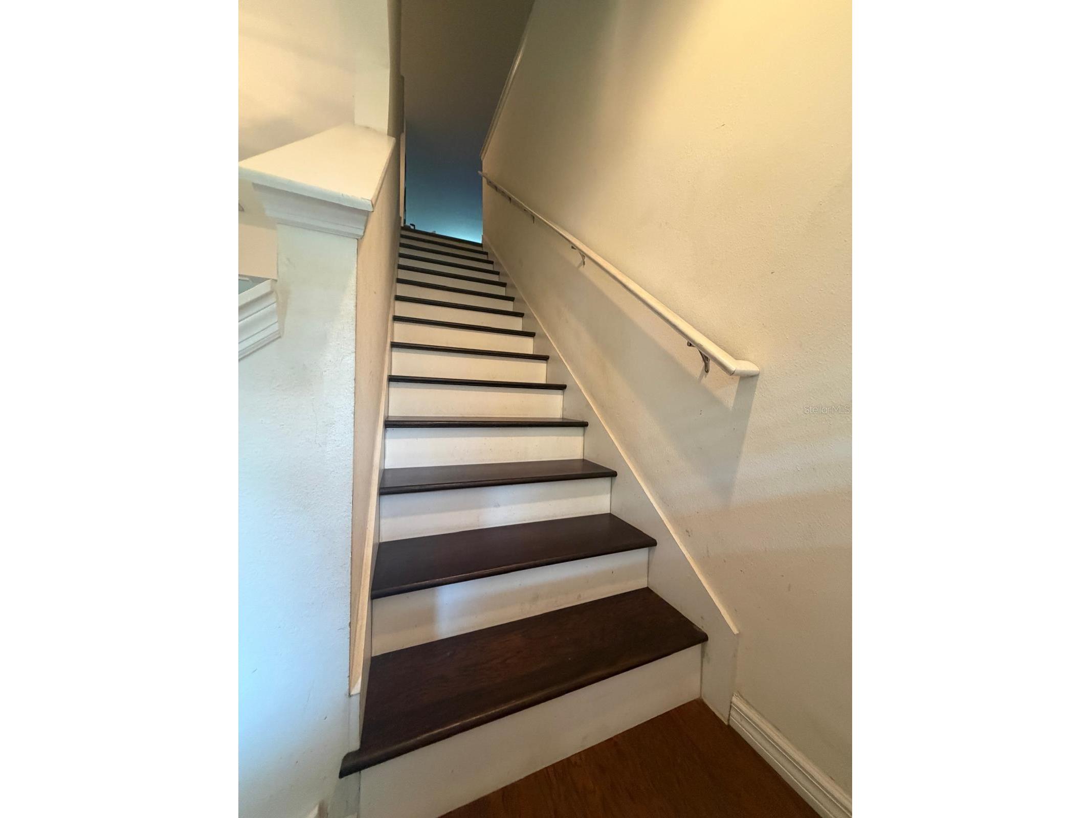 6305 Sunsail Place Apollo Beach FL 33572 TB8524245 image9
