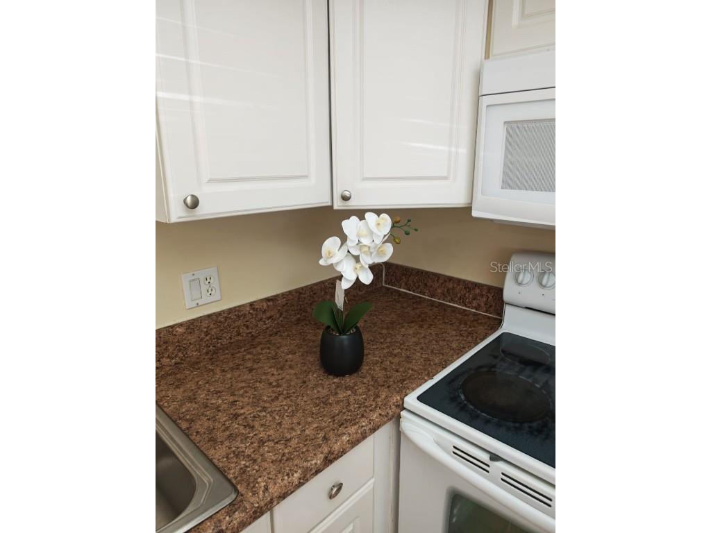 6306 Newtown Circle #6A3 Tampa FL 33615 TB8392971 image4