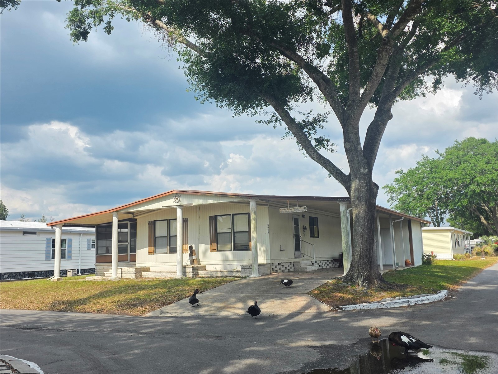 6306 Waterfront Lane Zephyrhills FL 33542 TB8383709 image2