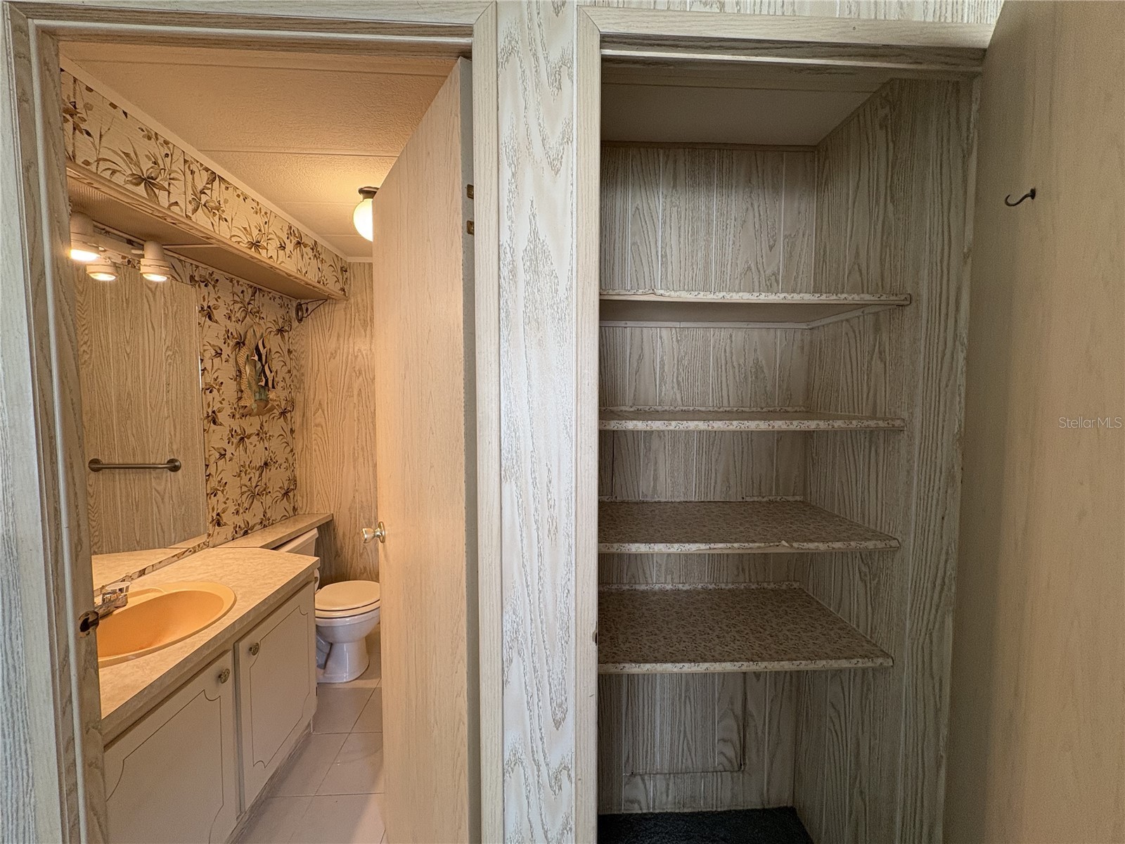 6306 Waterfront Lane Zephyrhills FL 33542 TB8383709 image20