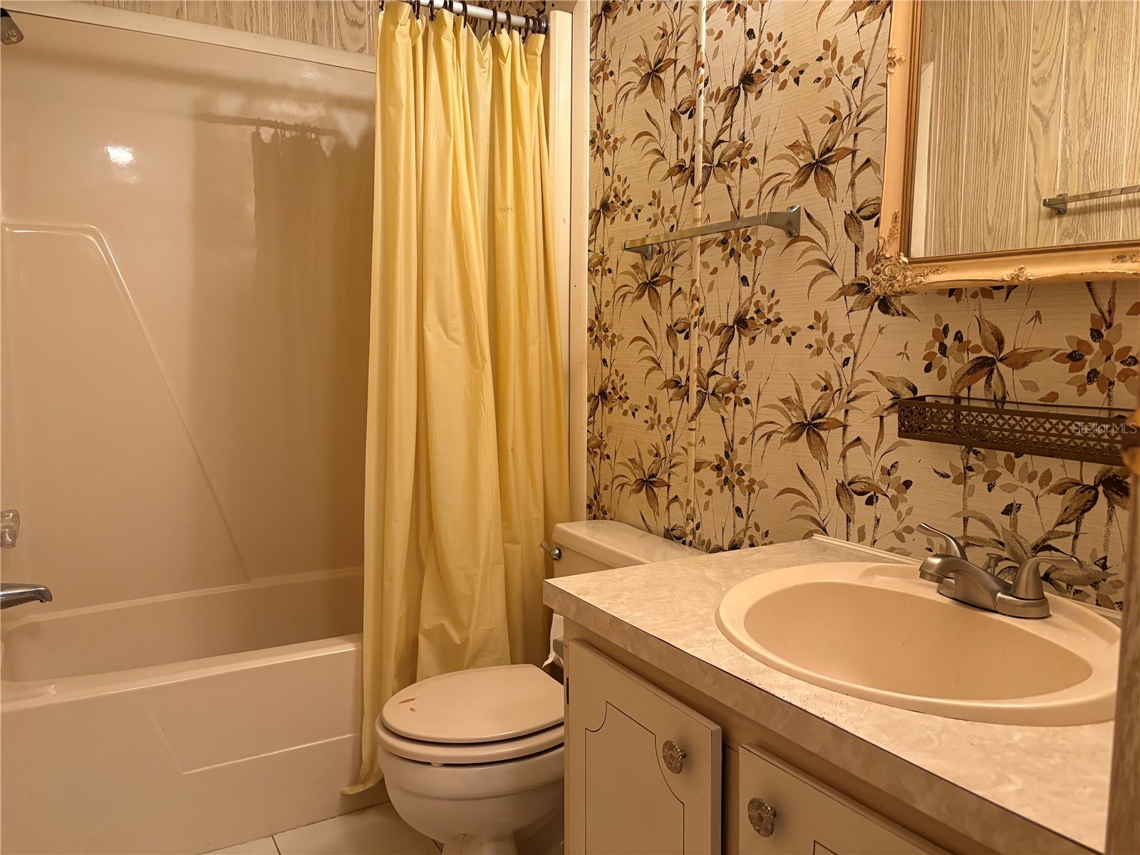 6306 Waterfront Lane Zephyrhills FL 33542 TB8383709 image26