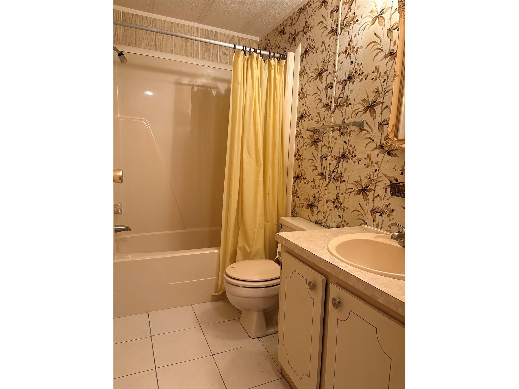 6306 Waterfront Lane Zephyrhills FL 33542 TB8383709 image27