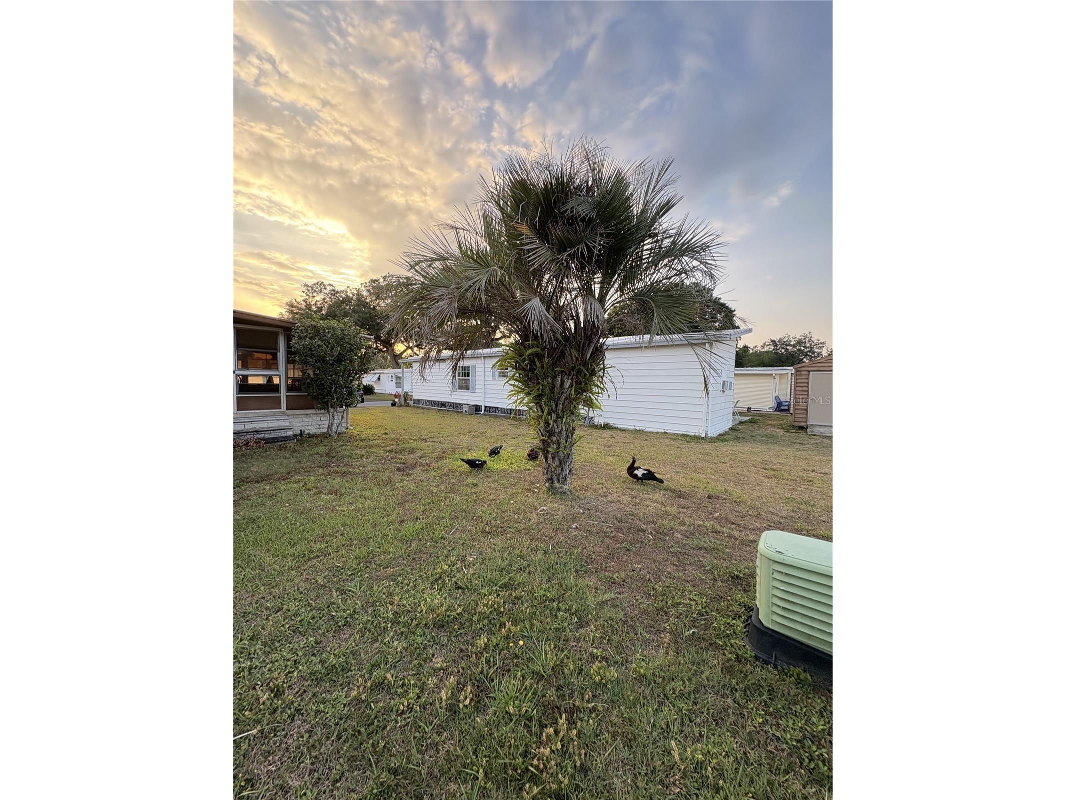 6306 Waterfront Lane Zephyrhills FL 33542 TB8383709 image40