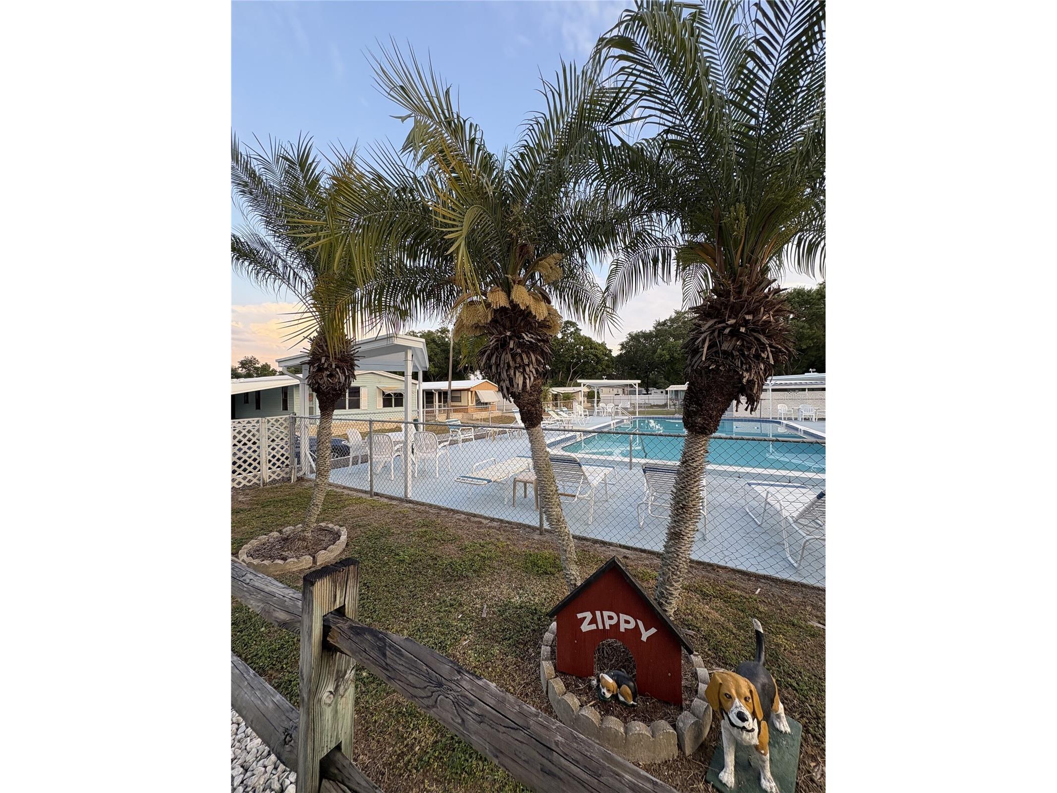 6306 Waterfront Lane Zephyrhills FL 33542 TB8383709 image46